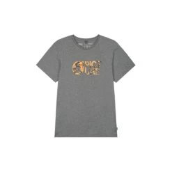 Picture Organic Clothing T-SHIRT BASEMENT PALMAY TEE DARK GREY MELANGE