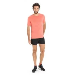 Icebreaker T-SHIRT SPHERE II VIBRANT EARTH HEATHER -Boutique De Camping dc6c77f6bd74e31928d4e185c278