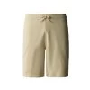 The North Face SHORT GRAPHIC LIGHT-EU GRAVE